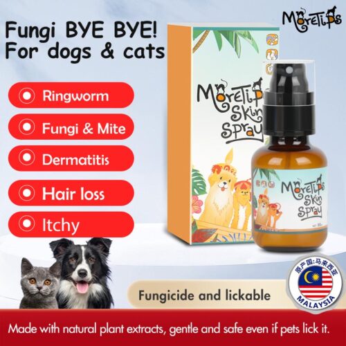 MORETIPS Skin Spray 80ml - B-Recover & Care - Professional Pet Grooming Manufacturer – Pet Shampoo, Conditioner, Ess...