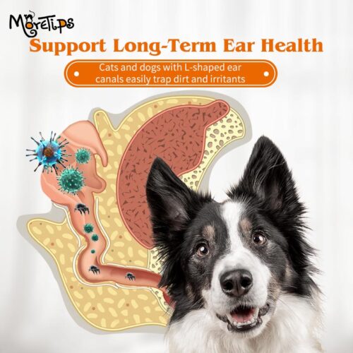 MORETIPS SKINTHEM Pet Ear & Skin Gel 10g - B-Recover & Care - Professional Pet Grooming Manufacturer – Pet Shamp...