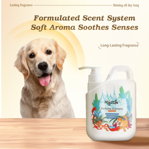 MORETIPS Lily of Valley Perfume Shampoo - A-Pet Grooming - Professional Pet Grooming Manufacturer – Pet Shampoo, Conditi...