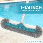 18英寸泳池刷头 - 泳池刷 - poolwhale.com