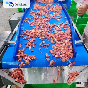 Horizontal Conveyor - Conveyor System