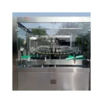 Bottle Washing Filling Lines