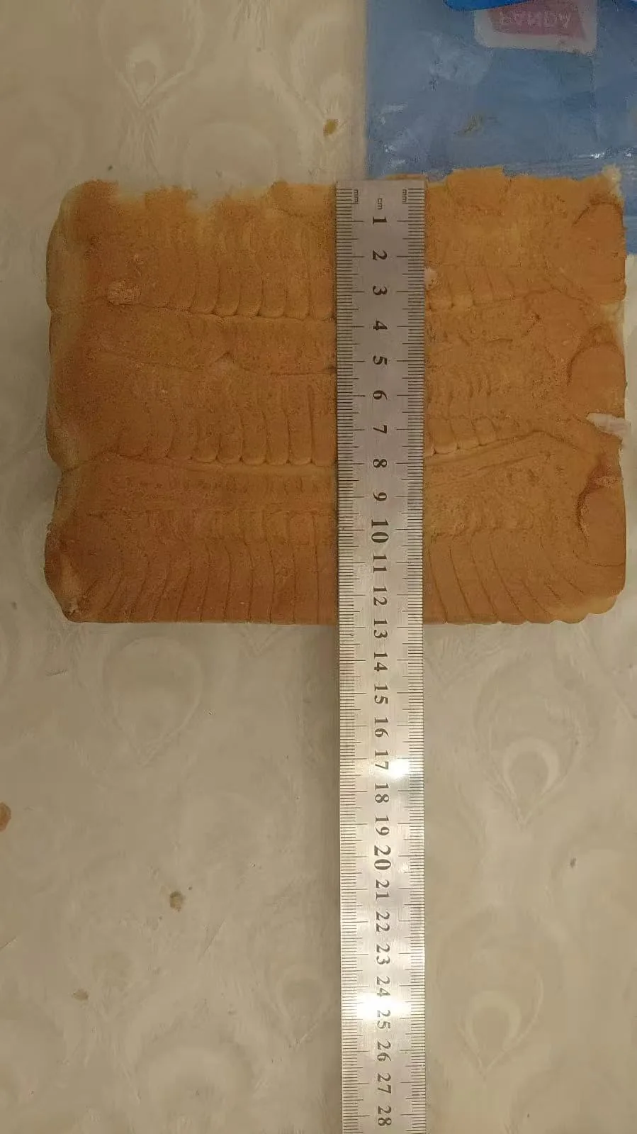 Azerbaijan Square Bread Flow Wrapping Machine Case - image 19