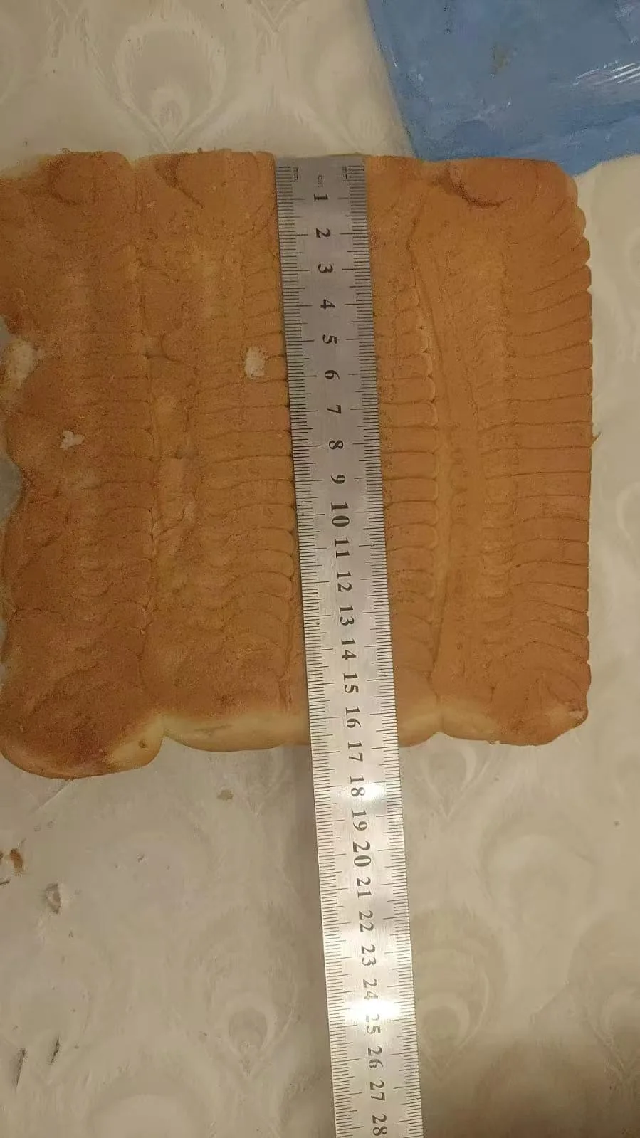 Azerbaijan Square Bread Flow Wrapping Machine Case - image 20