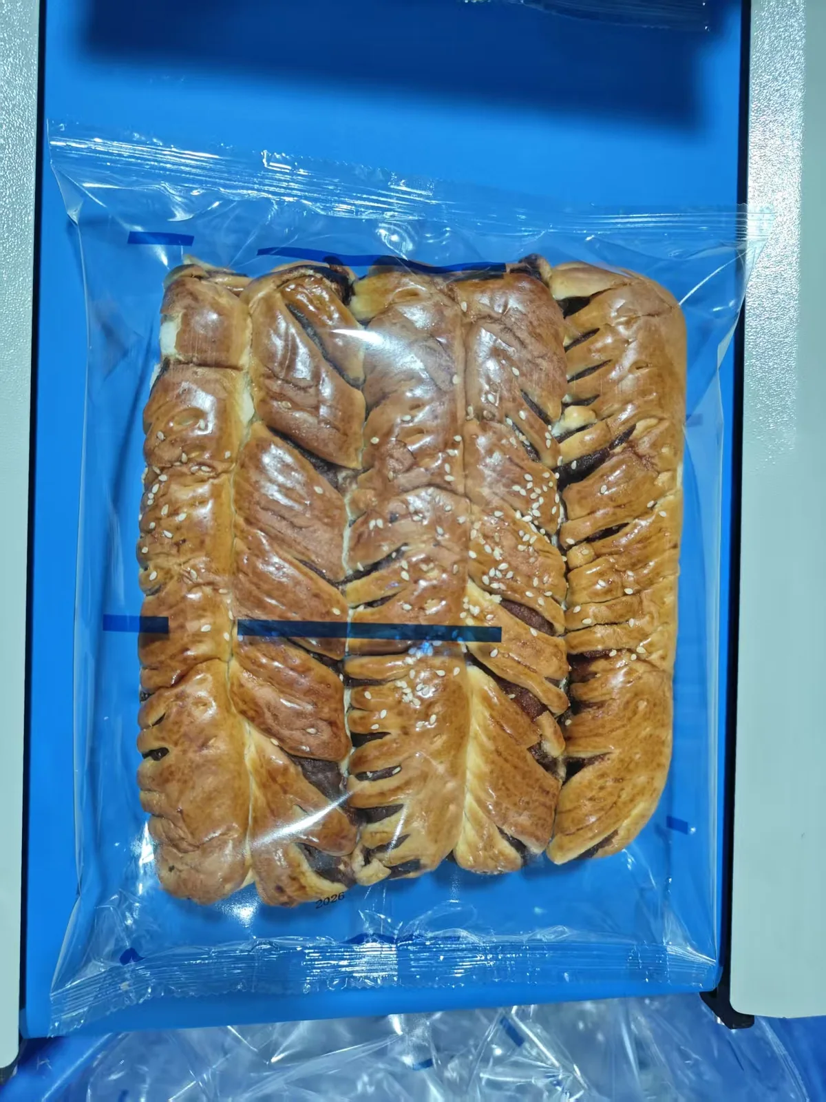 Kyrgyzstan Round Bread Flow Wrapping Machine Case - image 7