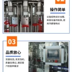 Automatic Bottle Rinsing Filling and Capping Machine for Water - machine view 5