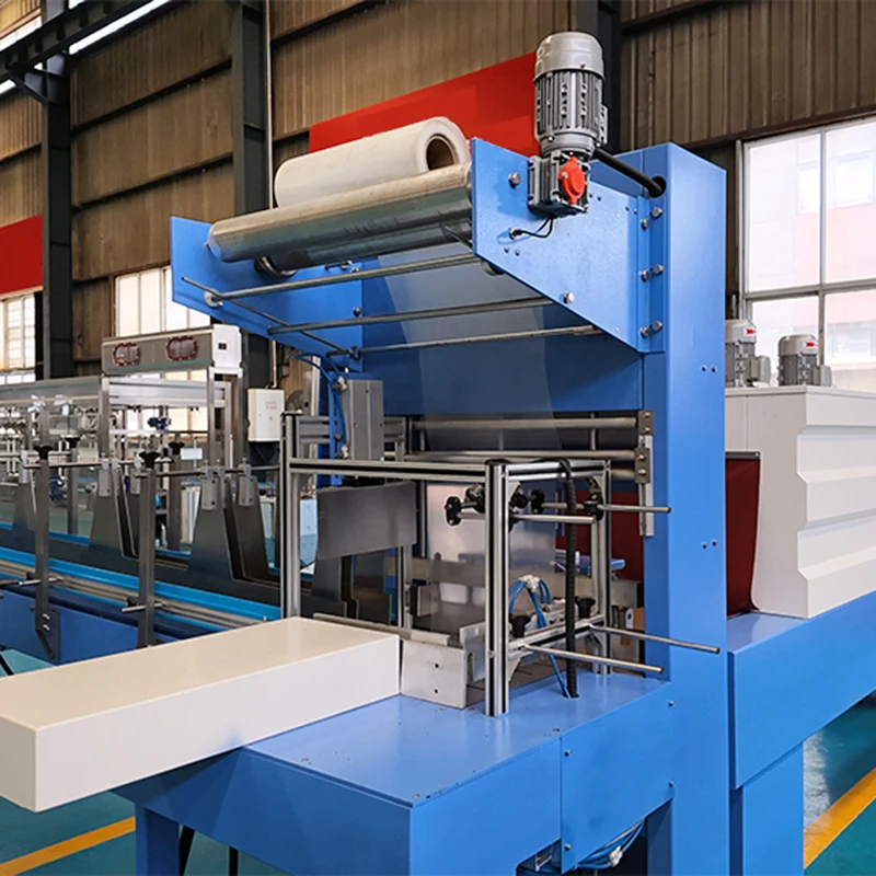 Automatic L Sealer Shrink Wrapping Machine for PE Film - machine view 2