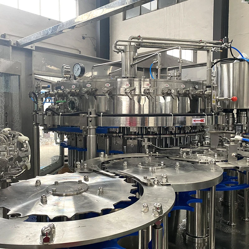 Custom Carbonated Beverage Filling Line for PET Bottles - machine view 2