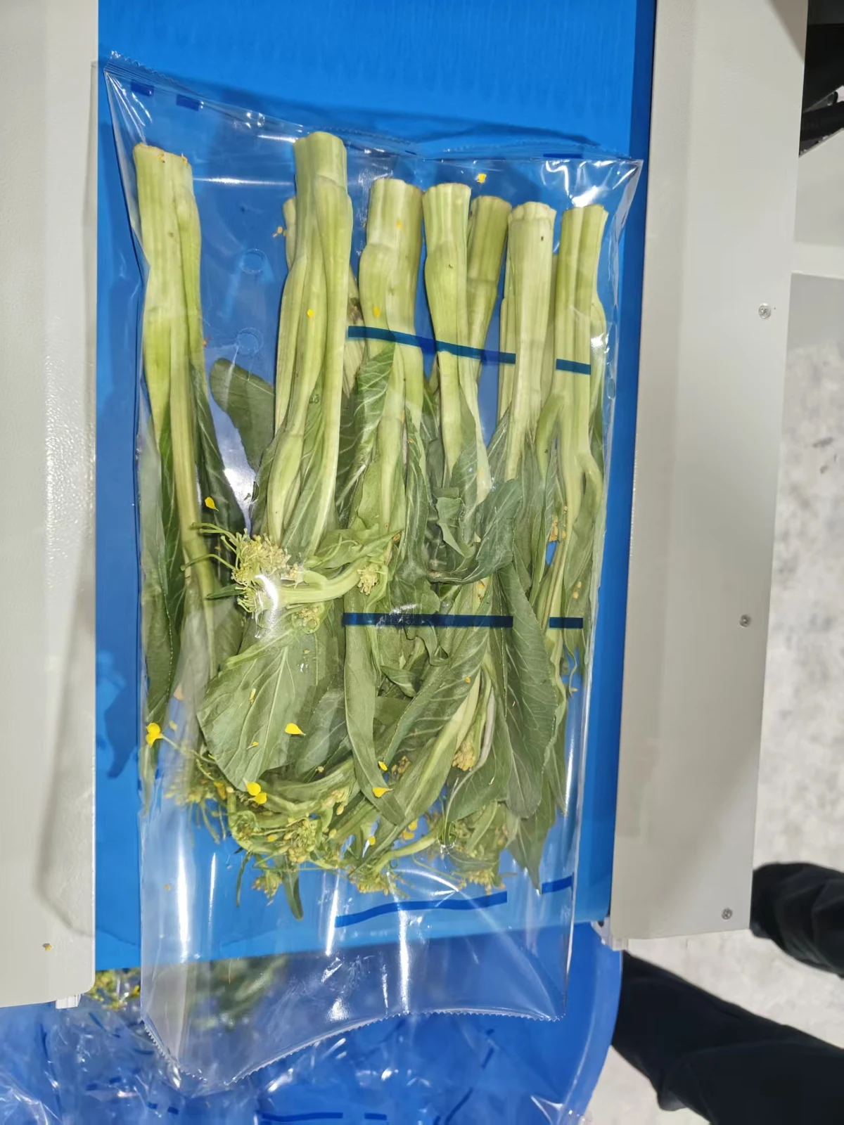 Fresh Vegetable Flow Wrapping Machine Project - project image 3