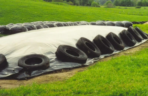 Silage Cover Film