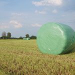 SILAGE STRETCH FILM AGRICUTURE STRETCH FILM BALE WRAP FILM - Agricutural Stretch Film - wypacktech.com