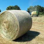 Bale Net Wrap - Bale Net Wrap - wypacktech.com