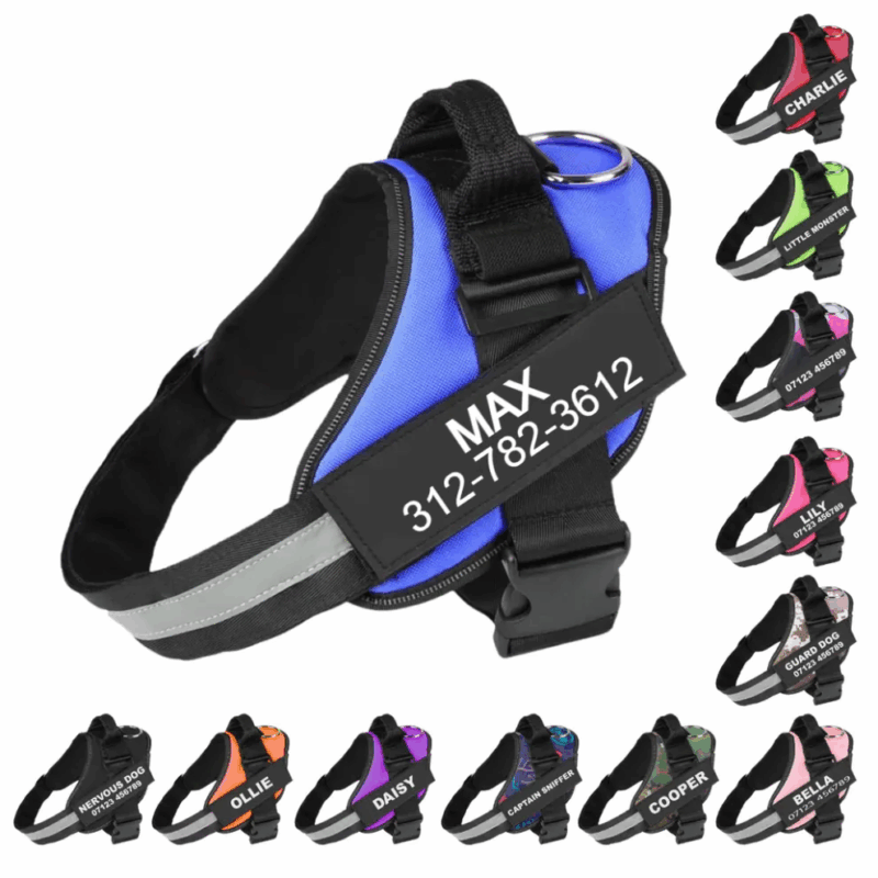 Custom No Pull Dog Harness With Name and Phone Number, Heavy Duty Personalized Pet Vest