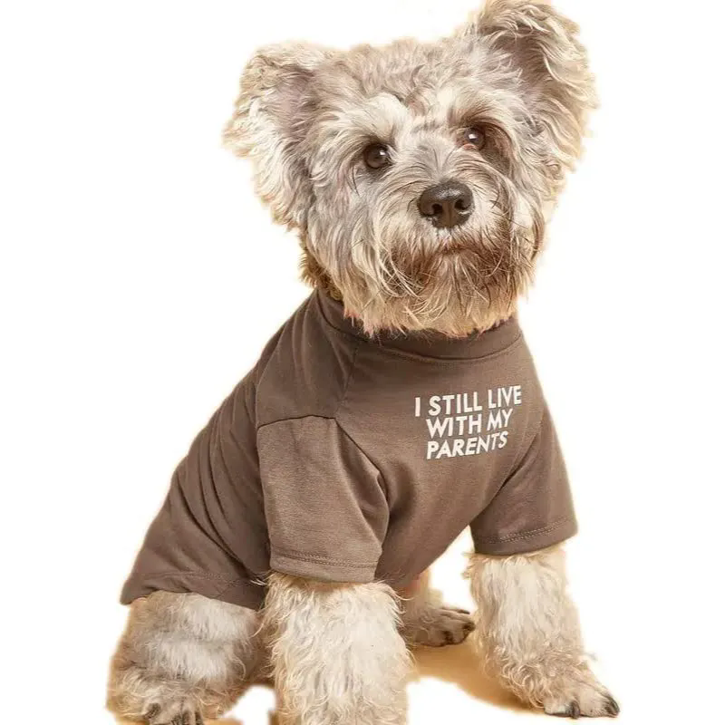 Breathable Soft Dog Costume Pet Dogs Cats, Pet Pullover Jumper