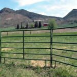 Pannelli per recinzione per bestiame saldati rivestiti verdi per pascoli agricoli
