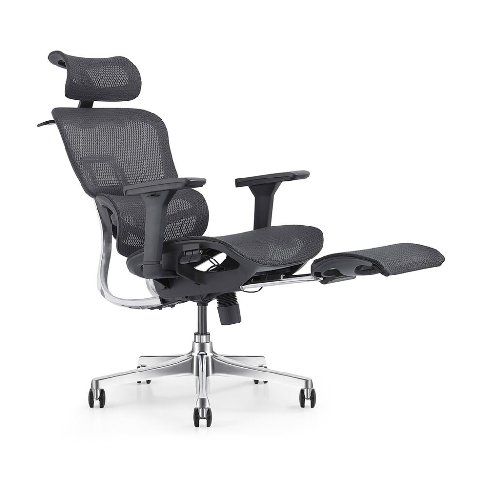 Ergonomic Office Chairs